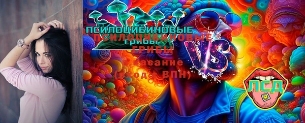 дмт Алзамай