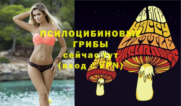 дмт Алзамай