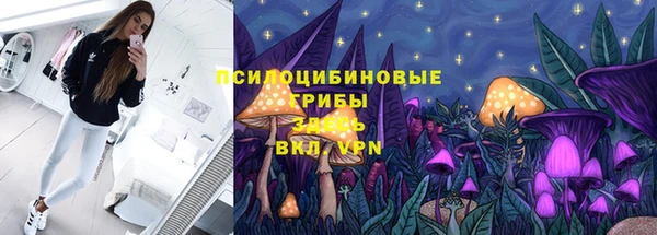 дмт Алзамай