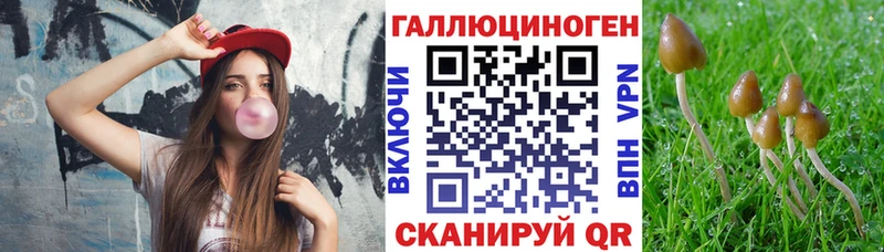 продажа наркотиков  hydra как войти  Псилоцибиновые грибы прущие грибы  Нюрба 